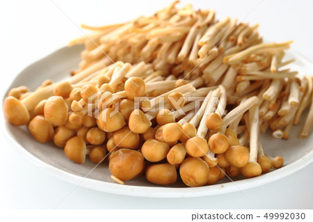 基礎茶enoki 49992030