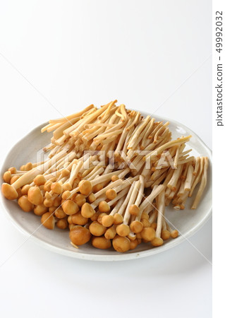 基礎茶enoki 基礎茶enoki 49992032
