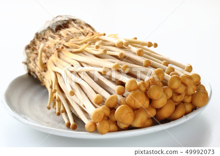 Tea enoki Tea enoki 49992073