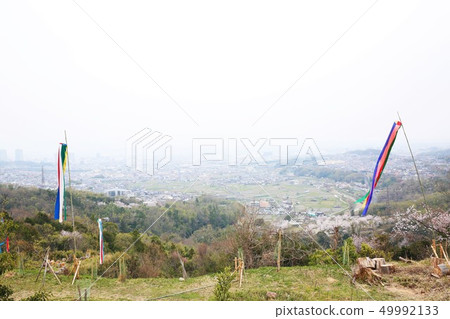 Yodogawayama城堡 49992133