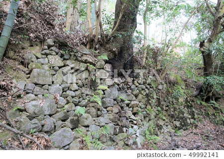 Yodogawayama Castle Yodogawayama Castle 49992141