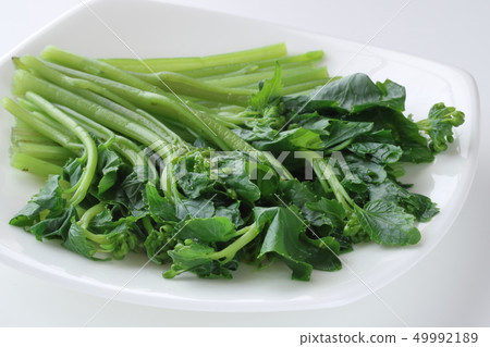 Thing with flower of wasabi flower Thing with flower of wasabi flower 49992189