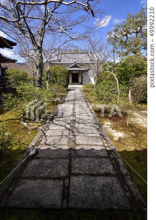 天龍寺 天龍寺 49992210