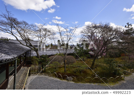 Tenryu temple  49992223