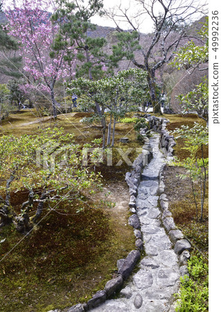 Tenryu temple Tenryu temple 49992236