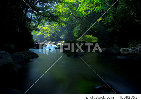Early summer Kikuchi valley Early summer Kikuchi valley 49992352
