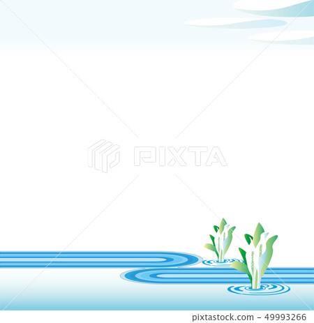 Waterside where the waterhole blooms 49993266