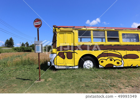 Hokkaido Fukagawa Totoro Pass Neko Bus 49993349