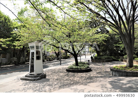 Motomachi Park Motomachi Park 49993630