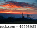 Sunrise of Kumano Pass from Odaigahara in spring 49993983