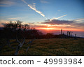 Sunrise of Kumano Pass from Odaigahara in spring 49993984