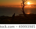 Sunrise at Kumano from Odaigahara 49993985
