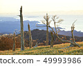 Dead tree of Odaigahara 49993986