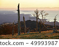 Dead tree of Odaigahara 49993987