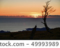 Sunrise at Kumano from Odaigahara 49993989