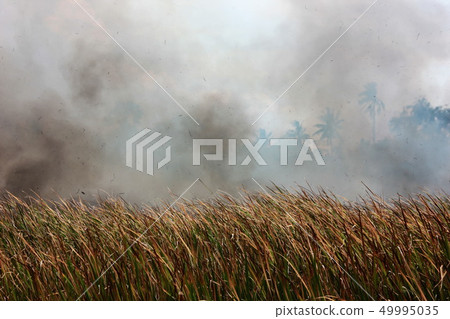 smoke from burn glass 49995035