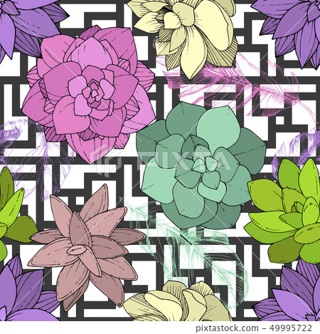 Vector Succulents floral botanical flower. Engraved ink art. Seamless background pattern. 49995722