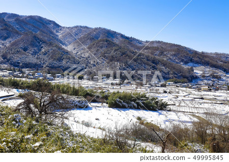 Satoyama's snowy landscape 49995845