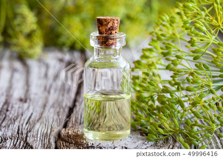 A bottle of dill seed oil with fresh blooming dill 49996416