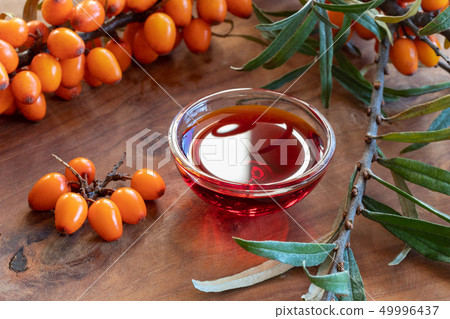Sea buckthorn oil in a bowl with fresh sea Sea buckthorn oil in a bowl with fresh sea 49996437