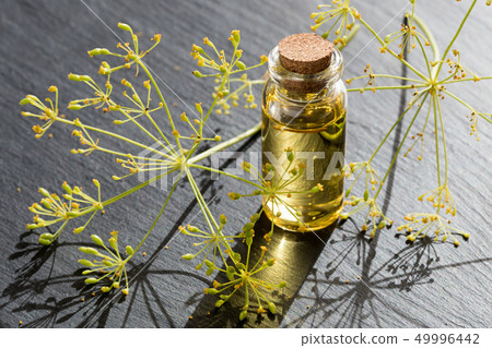 Dill seed oil in a transparent bottle Dill seed oil in a transparent bottle 49996442