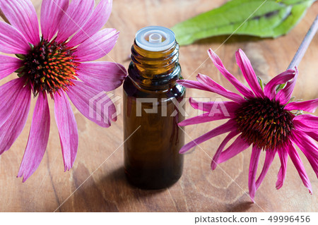 A bottle of echinacea essential oil A bottle of echinacea essential oil 49996456