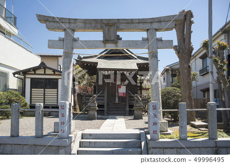 鹽Temple神社(鎌倉市) 鹽Temple神社(鎌倉市) 49996495