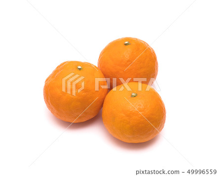 Calamandarin 49996559