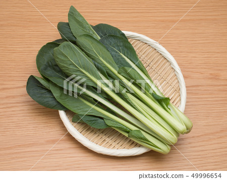 Komatsuna Komatsuna 49996654