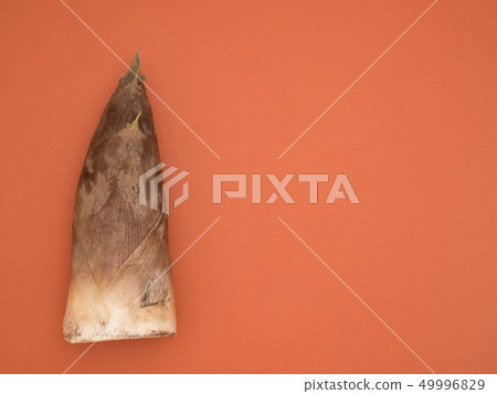 Bamboo shoots 49996829