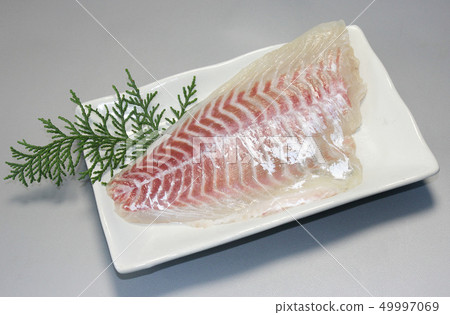Snapper sashimi Snapper sashimi 49997069