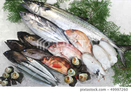 Fresh fish set in the Seto Inland Sea 49997260