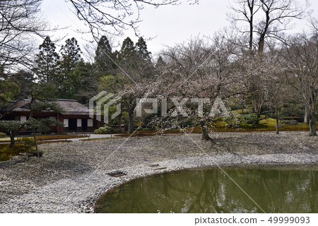 Sendu Imperial Palace Okaei Tatei and Sakura Bamboo in Minamike 49999093