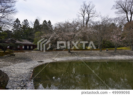 Sendam Imperial Palace Okaei Tatei和Sakura Bamboo in Minamike 49999098