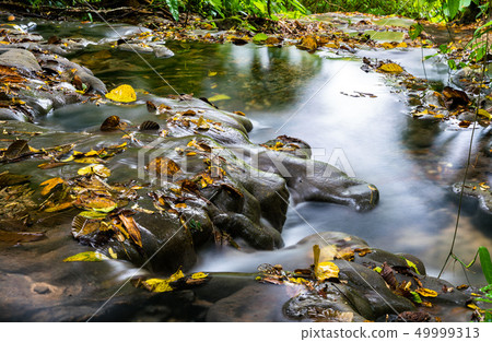 Motiepa Waterfall at Palenque in Mexico 49999313