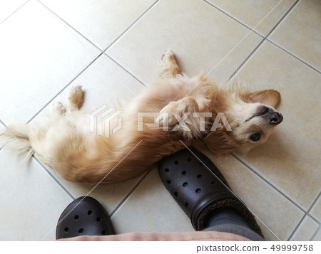 他拍拍我！ 49999758