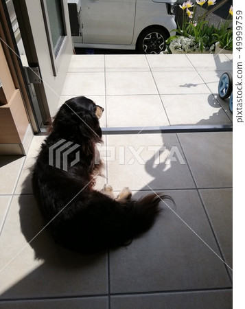 爸爸，你能回家嗎？ 49999759