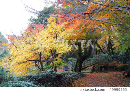 朝陽瀑布附近的高岡公園(高岡城高山市,高岡市) 朝陽瀑布附近的高岡公園(高岡城高山市,高岡市) 49999863