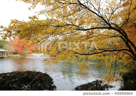 Takaoka Kojo Park Nakanoshima (Takaoka Castle ruins Takaoka City, Toyama Prefecture) Takaoka Kojo Park Nakanoshima (Takaoka Castle ruins Takaoka City, Toyama Prefecture) 49999864