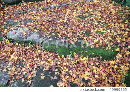 朝陽瀑布附近的高岡公園(高岡城高山市,高岡市) 朝陽瀑布附近的高岡公園(高岡城高山市,高岡市) 49999865
