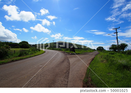 A parting road A parting road 50001025