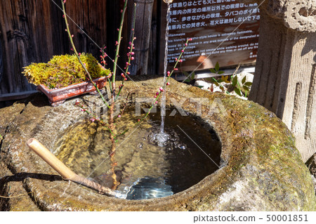 Mossy hand bowl 50001851