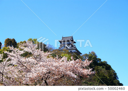 犬山城堡和櫻花犬山都市風景 犬山城堡和櫻花犬山都市風景 50002460