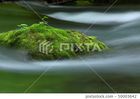 Mountain stream in early summer Early summer in river stream 50003642