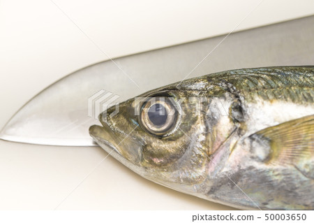 [Grilled mackerel] 50003650