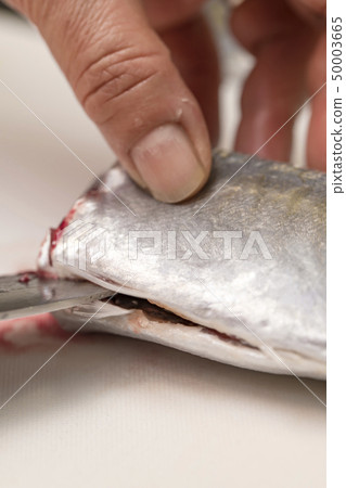 [烤鯖魚] 50003665