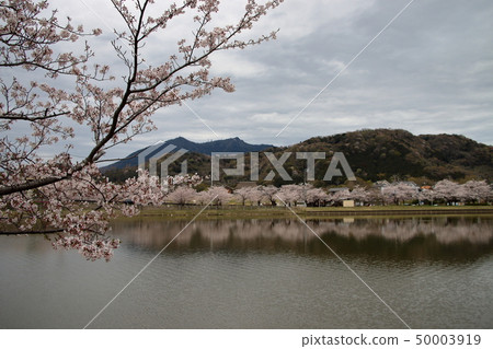 從Hojo Ohike觀看Mt. Tsukuba 50003919