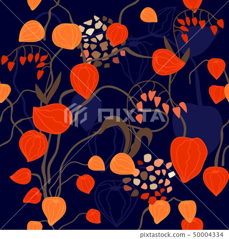 Physalis summer garden. Physalis summer garden. 50004334