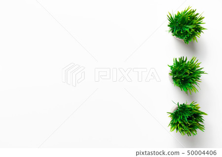 Fresh green grass in pots on white background Fresh green grass in pots on white background 50004406