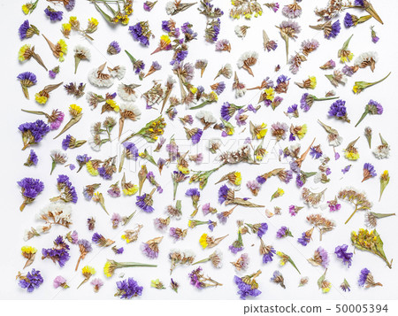 Flower pattern of dried flowers on a white Flower pattern of dried flowers on a white 50005394